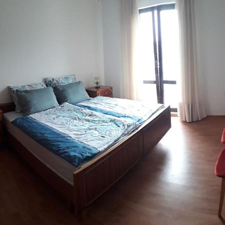 Vidin Raj Appartement Vremski Britof Buitenkant foto