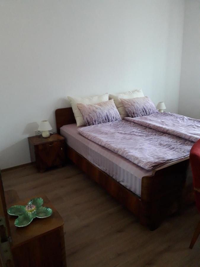 Vidin Raj Appartement Vremski Britof Buitenkant foto