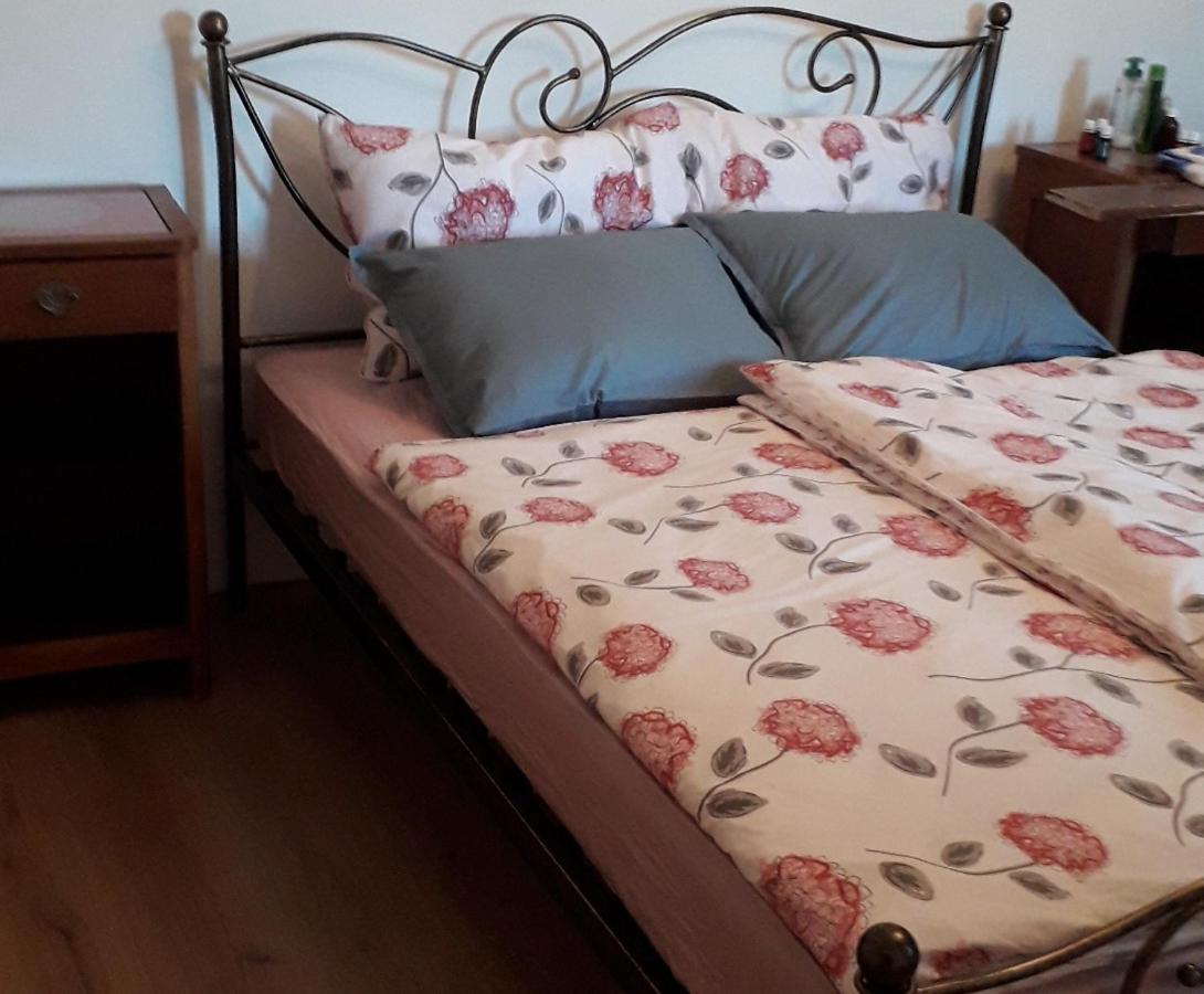 Vidin Raj Appartement Vremski Britof Buitenkant foto